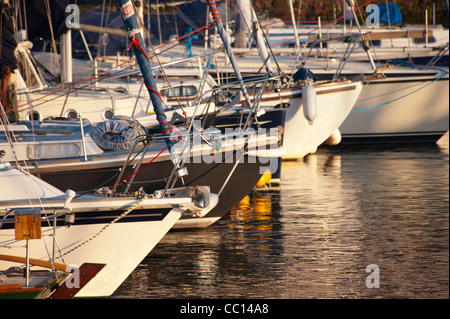 Victoria Dock Caernarfon North Wales Uk Boats moored in safe harbour Stock Photo