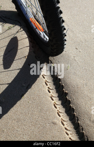 Bicycle tyre shoe tracks on sand. bike on the beach, sea Stock Photo