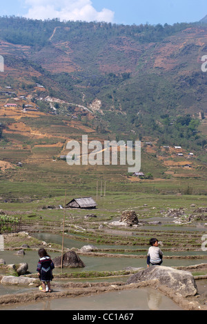 Two children working (tending ducks) in a paddy field in Sapa, Viet Nam Stock Photo