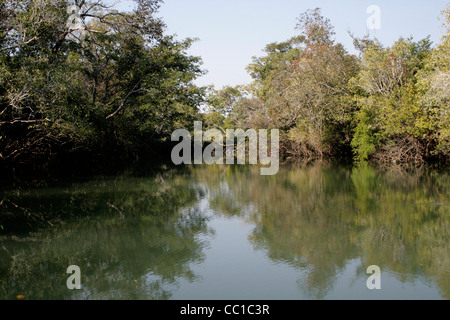 Kafubu River, Democratic Republic of Congo Stock Photo