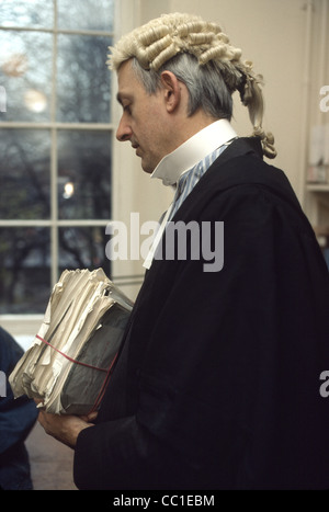 Barrister in wig and gown male Stock Photo - Alamy