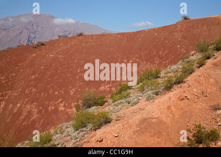 Desert landscape of the Valley of the Río las Conchas in the Quebrada de Cafayate, Salta Province, Argentina Stock Photo