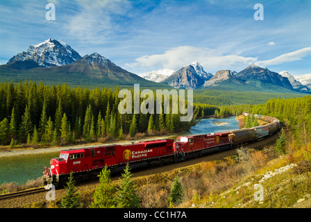 Canadian Pacific freight train travelling around Morants Curve Bow Valley Parkway Rockies Alberta Canada Stock Photo