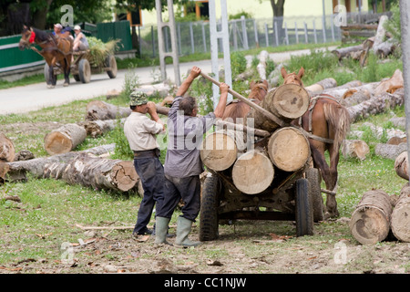 Nowy Soloniec polish village in Romania, province in Southern Bukovina ...