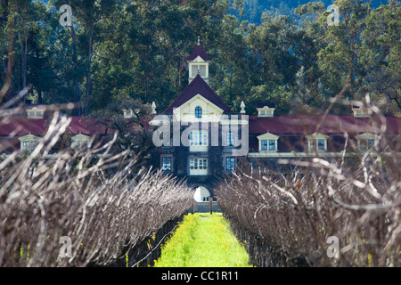 USA, California, Napa Valley Wine Country, Rutherford, Rubicon Estate Vineyard, owned by film dirctor Francis Ford Coppola Stock Photo