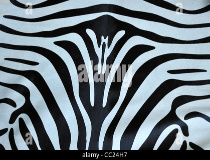 Detail of a zebra skin. Suitable as an abstract wildlife background. Stock Photo