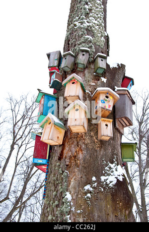 winter tree in the park with birds nesting-boxes collection Stock Photo