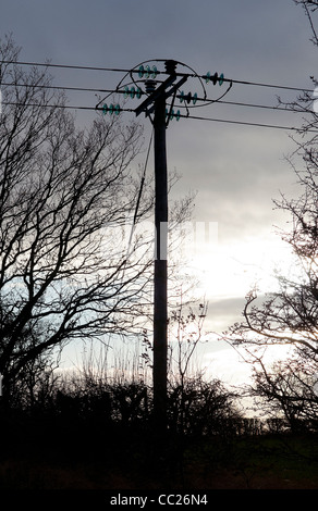 Telegraph pole, with glass insulators, and bushes, in silhouette Stock Photo