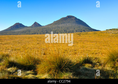 button grass plains, tasmania, australia Stock Photo