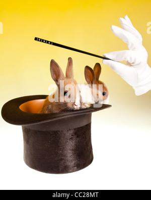 Magic wand and magician's hand with two rabbits coming out of a black top hat Stock Photo