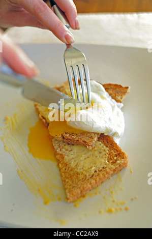 Poached eggs on toast for breakfast Stock Photo