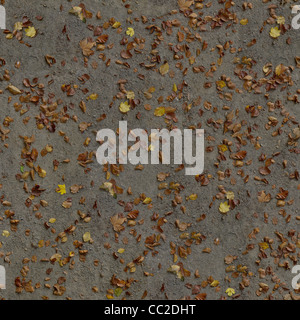 Seamless autumn sand texture with leaves Stock Photo