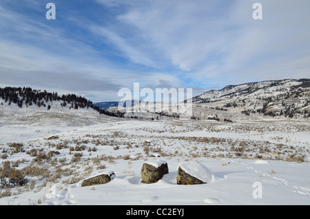 Snow covered landscape of Lamar Valley, Yellowstone National Park, Montana, USA. Stock Photo
