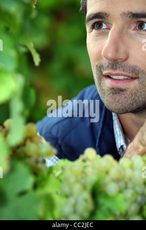 farmer in his vineyard Stock Photo