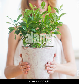 USA, New Jersey, Jersey City, Midsection of woman holding potted plant Stock Photo