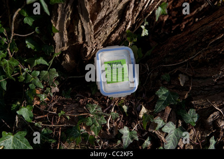 Small tupperware geocache box in woodland environment surrounded by ivy Stock Photo