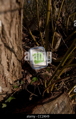 Small geocache box near trees in a woodland environment Stock Photo