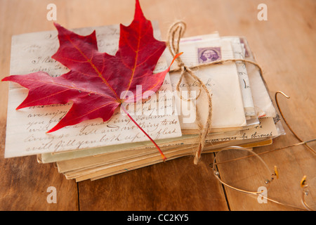 Autumn leaf on letters, studio shot Stock Photo