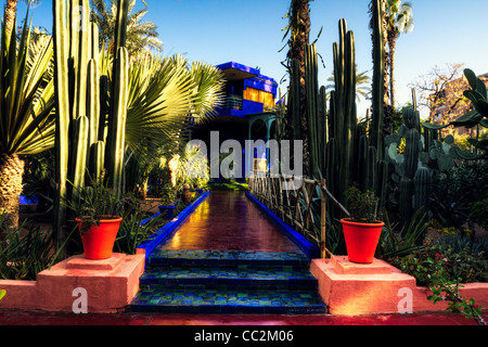 Majorelle garden, Marakech Stock Photo