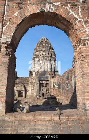 Monkeys at the ruins of Prang Sam Yot, Lopburi, Asia Stock Photo