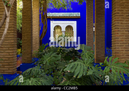 Majorelle garden, Marakech Stock Photo