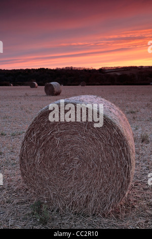 Hay bales at sunrise on a frosty morning near Cranham in Gloucestershire, England Stock Photo