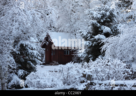 A winter scene with a cabin surrounded by snow covered trees Stock Photo