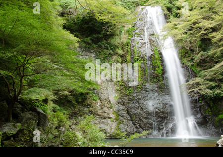 Water fall at the Mino Quasi National Park in Japan with green maple tree Stock Photo