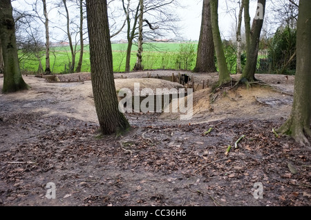 Trenches, Sanctuary Wood, Ypres, Belgium Stock Photo
