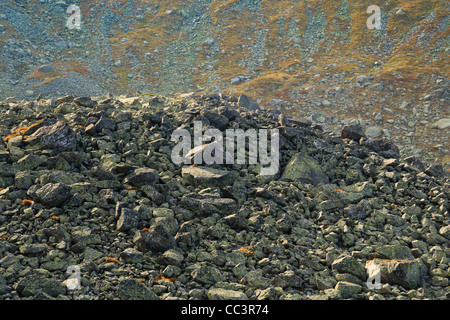 Granite scree slope in Tatra National Park. Poland. Stock Photo