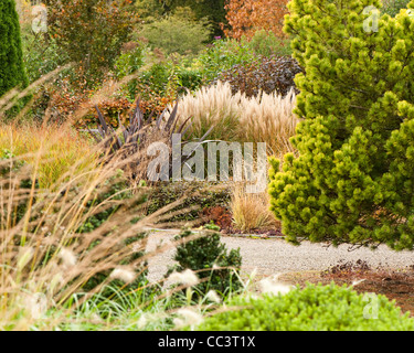 Ornamental grasses and other plants in the Foliage and Plantsman's Garden in autumn, RHS Rosemoor, Devon, England, UK Stock Photo