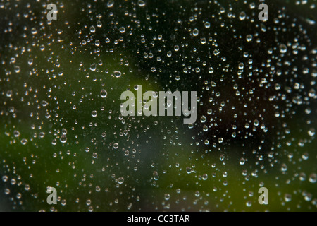 water droplets on glass window Stock Photo