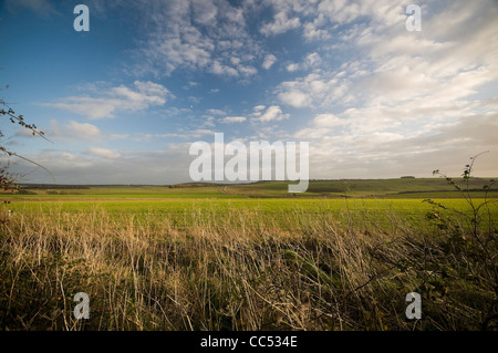 View over the South Downs from The South Downs Way near Amberley, West Sussex, UK Stock Photo