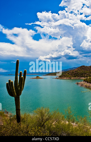 Roosevelt Lake boasts the largest lake in Central Arizona, consisting of 112 miles of shoreline, peaceful coves and 22,000 acres Stock Photo