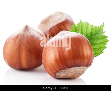 Nuts filberts isolated on white background. Stock Photo