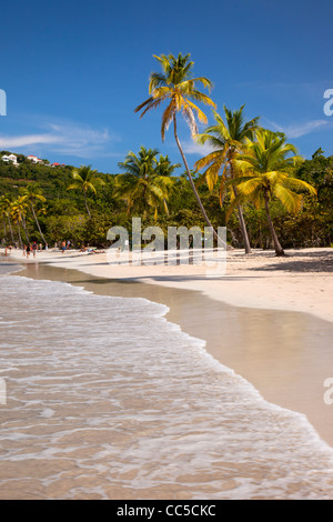 Palm trees and white sandy beach at Megan's Bay on St. Thomas, US Virgin Islands Stock Photo