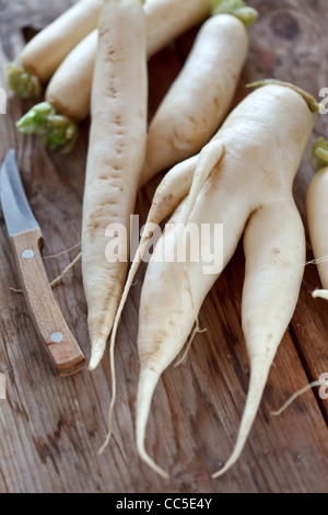 Daikon radish on the wood background Stock Photo