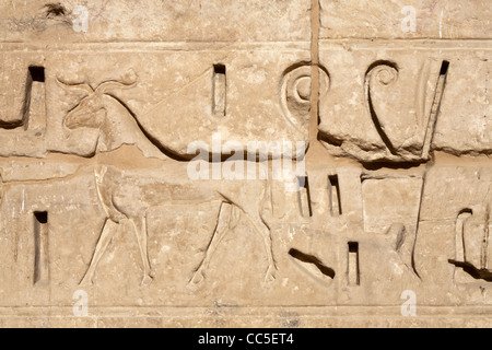 View of relief in the  Mortuary Temple of Pharaoh Ramesses III, Medinet Habu, West Bank, Luxor, Egypt Stock Photo