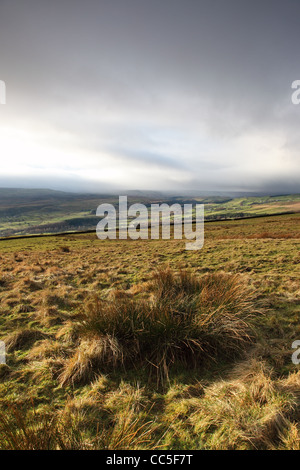 Pennine Hill Farmland on the Slopes of Hardberry Hill with the View Across the Tees Valley from Hardberry Hill Upper Teesdale Stock Photo