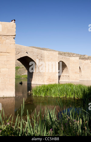 Bridge in Haro village, Rioja Alta, La Rioja, Spain Stock Photo