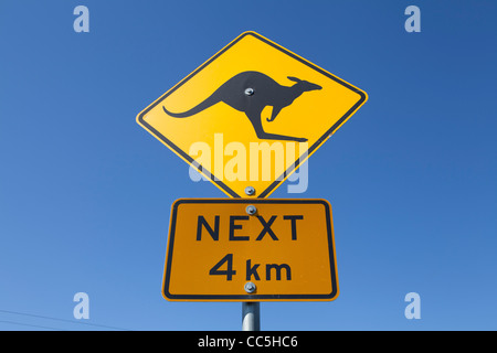 A close-up view an Australian highway yellow kangaroo sign Stock Photo