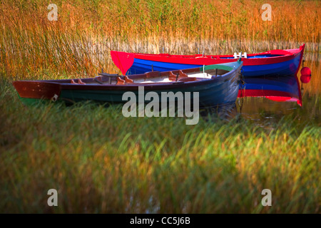 2 colourful wooden fishing boats moored among reeds Stock Photo