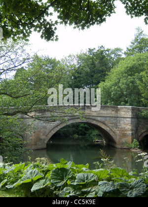 Bridge over the River Rye at Nunnington in North Yorkshire, UK. Stock Photo