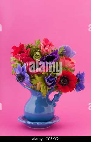 Colorful bouquet Anemones in vase on pink background Stock Photo