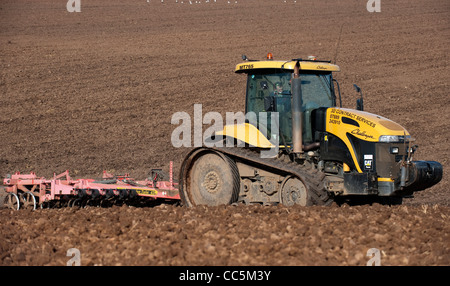 Cultivating seedbed using a Caterpillar Challenger tracked tractor. Stock Photo