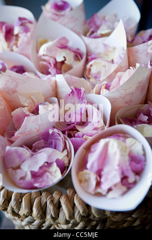 Dried rose petal confetti in paper cones at a UK wedding. Stock Photo