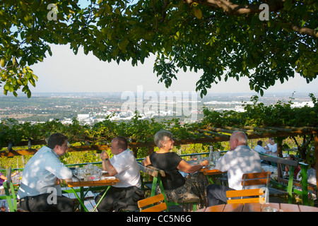 Österreich, Wien 19, Kahlenberg, Buschenschank (Heuriger) Sirbu Stock Photo