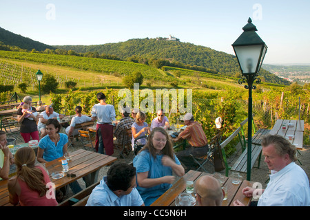 Österreich, Wien 19, Kahlenberg, Buschenschank (Heuriger) Sirbu Stock Photo