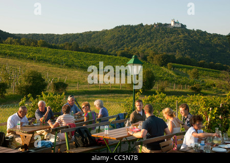 Österreich, Wien 19, Kahlenberg, Buschenschank (Heuriger) Sirbu Stock Photo