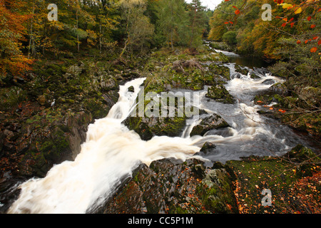 Falls of Feugh in Autumn. Near Banchory, Aberdeenshire, Scotland. October. Stock Photo